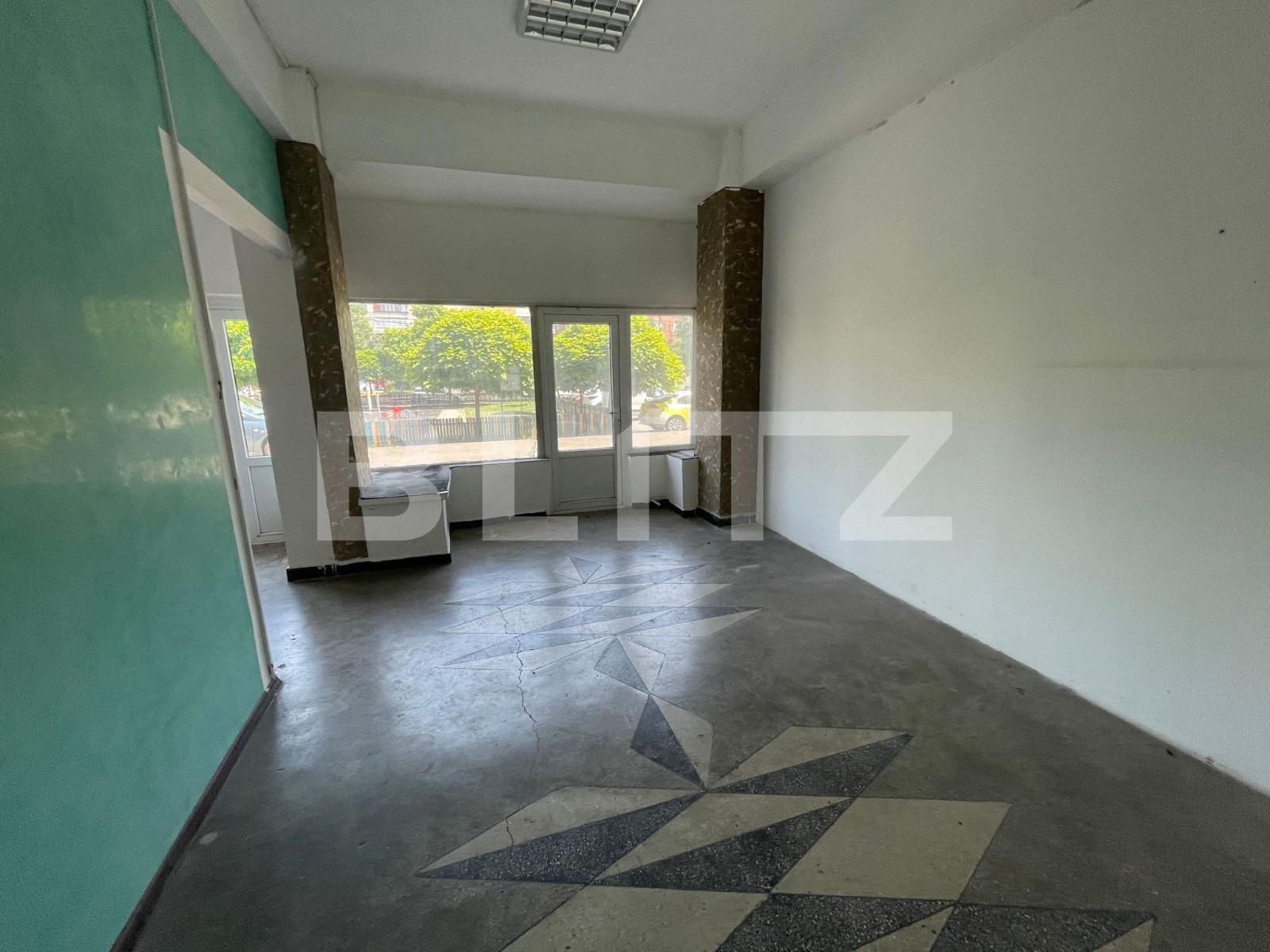 Spațiu comercial de închiriat Lapus Arges - 122591SIC | BLITZ Craiova | Poza4