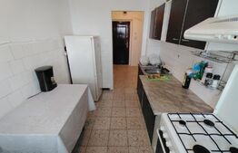 Apartament de 2 camere, 52 mp, aer conditionat, zona Valea Rosie