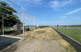 Teren intravilan 689 mp, cu hala metalica, Centura de Nord