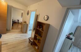 Apartament 2 camere decomandat, 56mp, centrala termica proprie, petfrendly, zona Electroputere