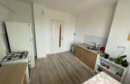 Apartament 2 camere decomandat, 56mp, centrala termica proprie, petfrendly, zona Electroputere