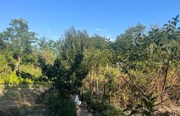 Teren 2000 mp, intravilan, zona Izvorul Rece !!