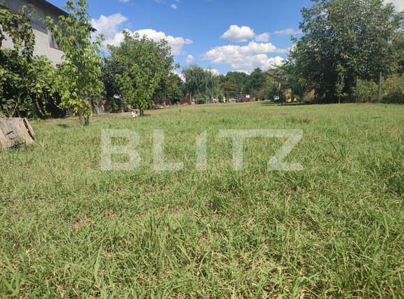 Teren de vânzare Vest - 123060TV | BLITZ Craiova | Poza4