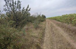 Teren 9000 mp, extravilan, zona Leamna de jos 