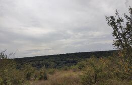 Teren 9000 mp, extravilan, zona Leamna de jos 