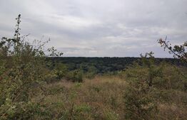 Teren 9000 mp, extravilan, zona Leamna de jos 