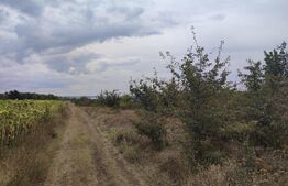 Teren 9000 mp, extravilan, zona Leamna de jos 