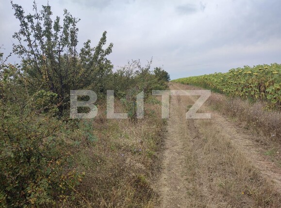 Teren de vânzare Leamna de Jos - 123062TV | BLITZ Craiova | Poza3