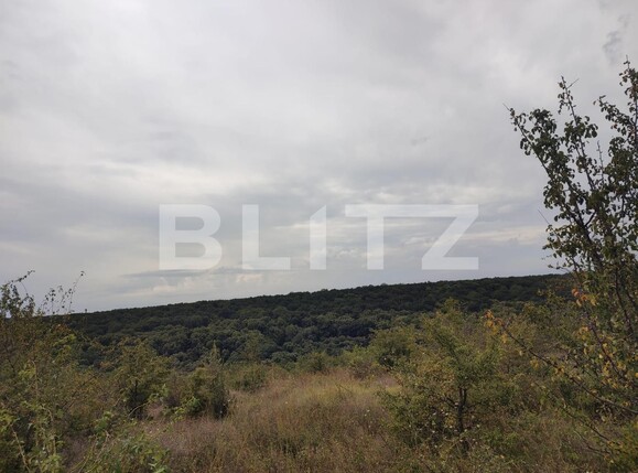 Teren de vânzare Leamna de Jos - 123062TV | BLITZ Craiova | Poza2