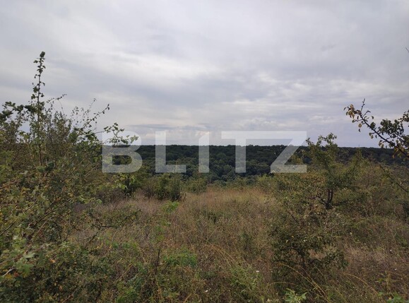 Teren de vânzare Leamna de Jos - 123062TV | BLITZ Craiova | Poza1