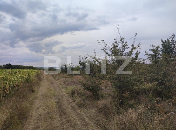 Teren de vânzare Leamna de Jos - 123062TV | BLITZ Craiova | Poza4