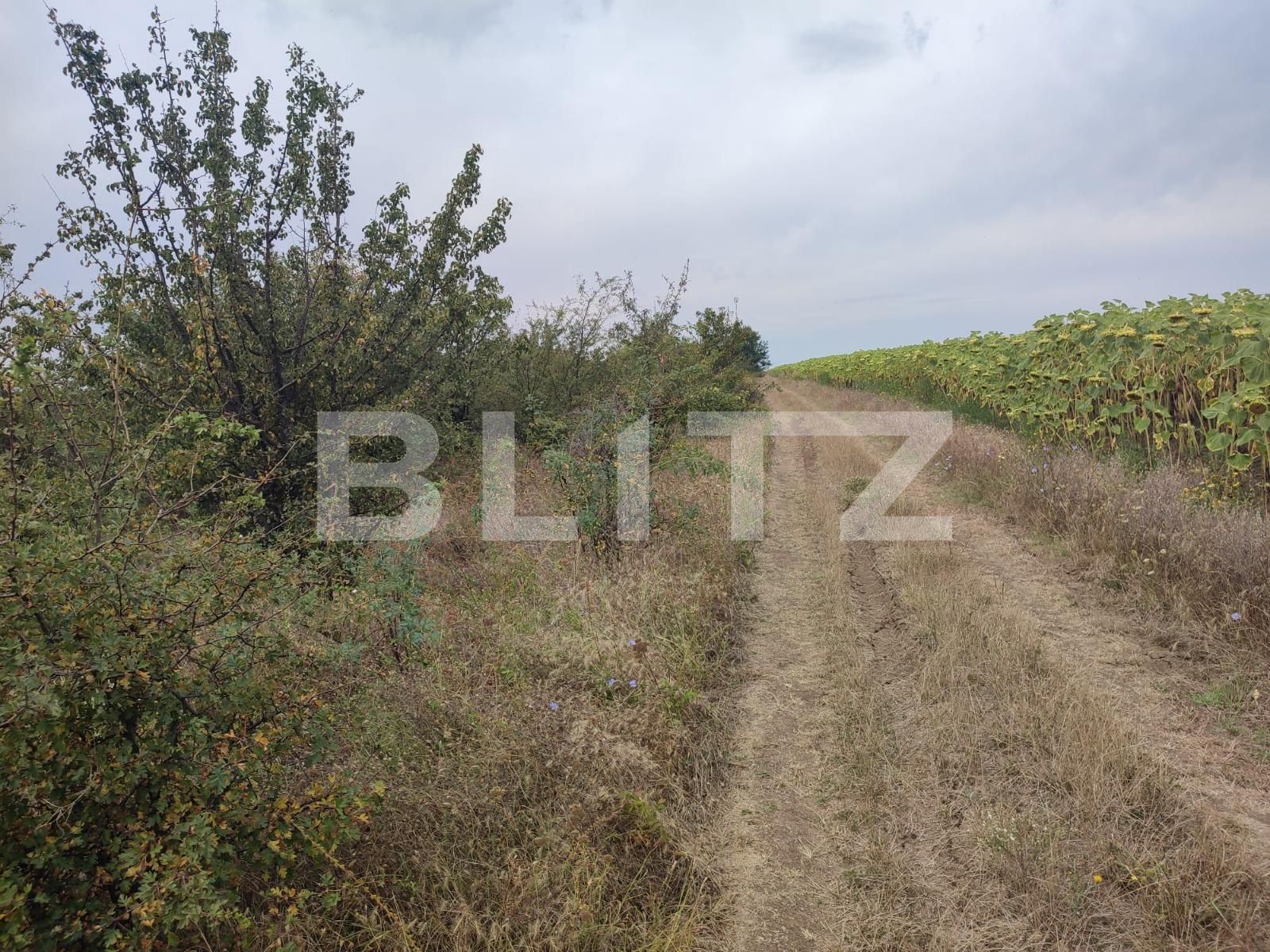 Teren de vânzare Leamna de Jos - 123062TV | BLITZ Craiova | Poza3