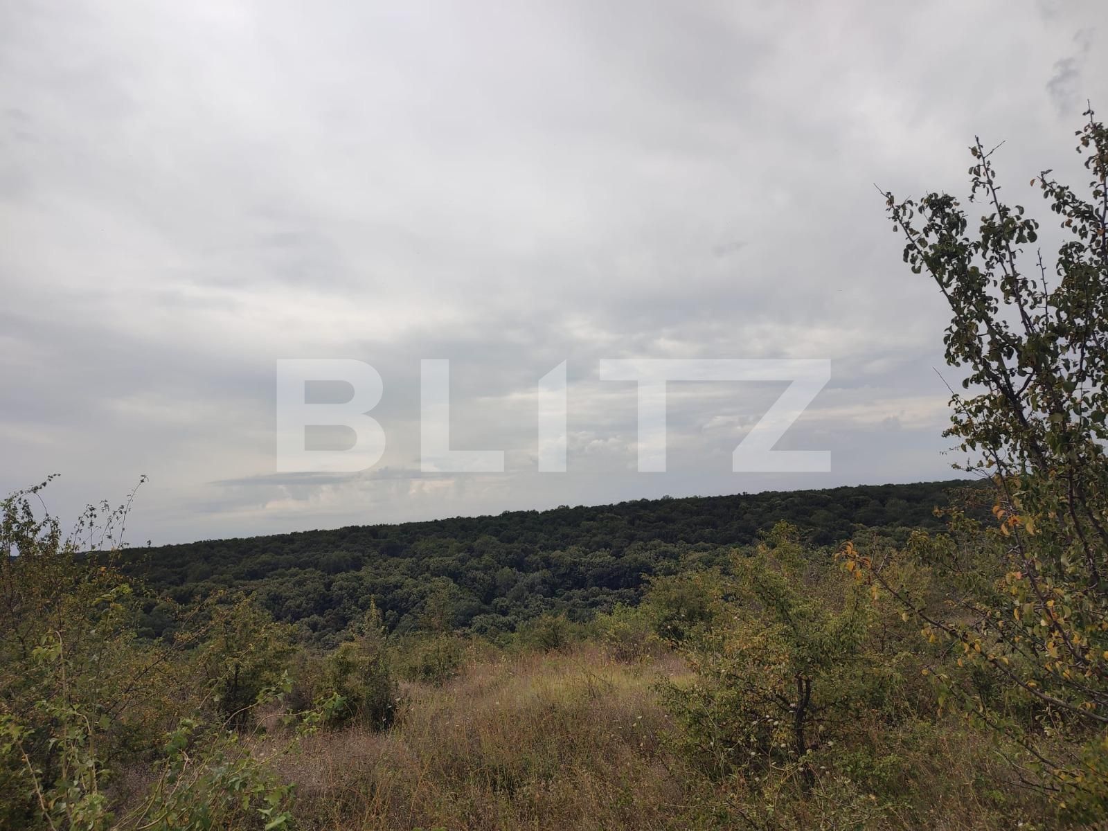 Teren de vânzare Leamna de Jos - 123062TV | BLITZ Craiova | Poza2