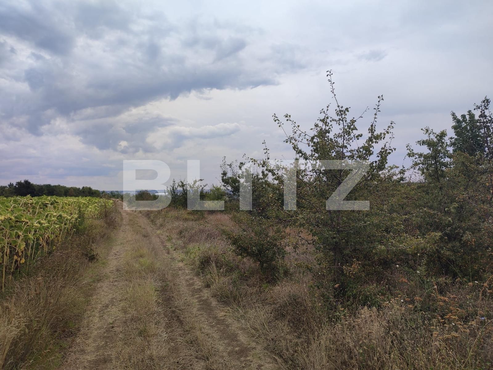 Teren de vânzare Leamna de Jos - 123062TV | BLITZ Craiova | Poza4