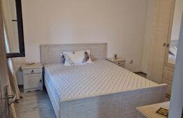 Casă 85 mp utili, plan parter, zona Damila