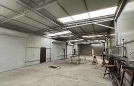 REDUCERE! Casă P + E 354 mp utili, cu hală în față de 228 mp, teren 1.881 mp, Malu Mare