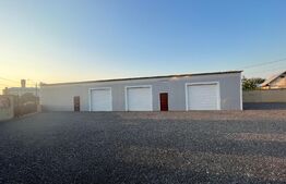 REDUCERE! Casă P + E 354 mp utili, cu hală în față de 228 mp, teren 1.881 mp, Malu Mare