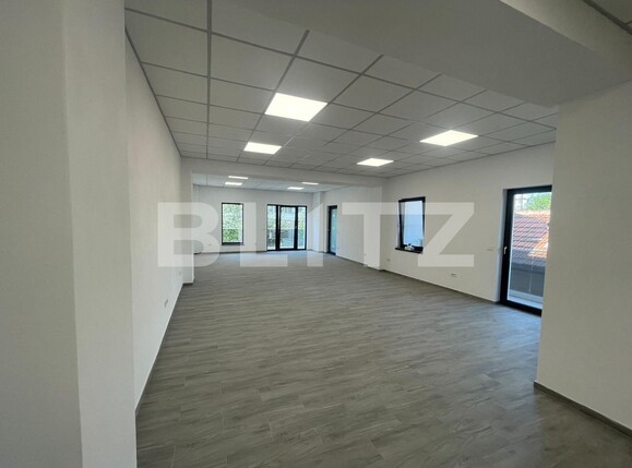 Spațiu birouri de închiriat Craiovita Noua - 123174SIB | BLITZ Craiova | Poza4