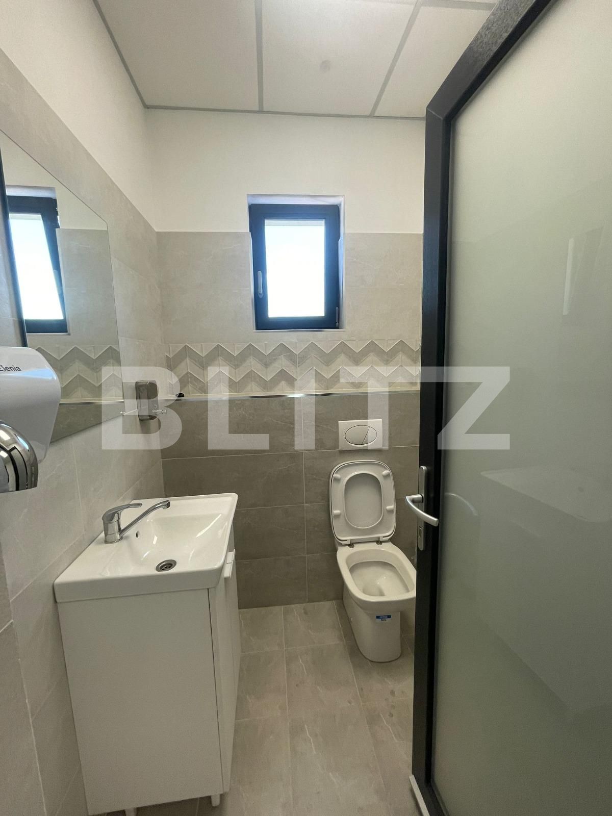 Spațiu birouri de închiriat Craiovita Noua - 123174SIB | BLITZ Craiova | Poza11