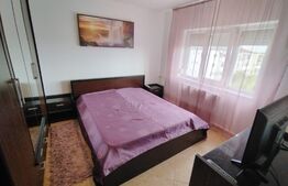 Apartament de 3 camere renovat, 80 mp, aer conditionat, zona 1 Mai