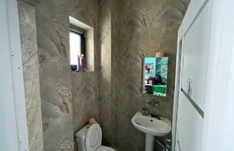 Spatiu comercial, 150 mp zona Brazda