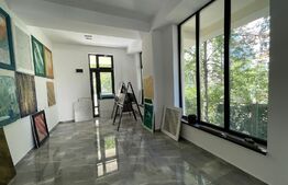 Spatiu comercial, 150 mp zona Brazda