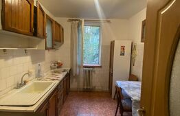 Apartament de 2 camere, Calea Bucuresti, zona Rotonda