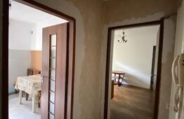 Apartament de 2 camere, etaj 1, zona Brazda lui Novac