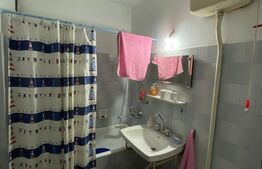 Apartament de 2 camere, etaj 1, zona Brazda lui Novac