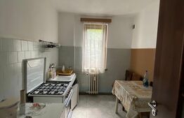 Apartament de 2 camere, etaj 1, zona Brazda lui Novac