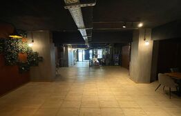 Spatiu comercial , zona Centrala 215 mp cu terasa inclusa 21 mp