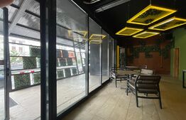 Spatiu comercial , zona Centrala 215 mp cu terasa inclusa 21 mp