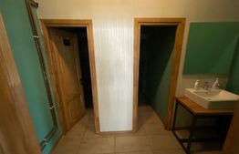 Spatiu comercial , zona Centrala 215 mp cu terasa inclusa 21 mp