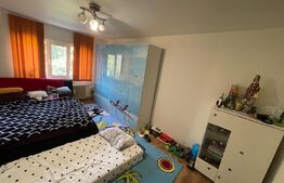 Apartament de 3 camere, decomandat, Rovine, zona Parculet Posta