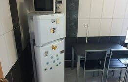 Garsoniera moderna, centrala termica, aer conditionat, parcare privata, cartier Magnolia