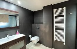 Penthouse de lux, centrala termica, aer conditionat, zona Ciuperca