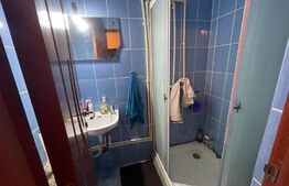 Camera de camin transformata in garsoniera, Valea Rosie