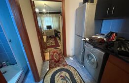 Camera de camin transformata in garsoniera, Valea Rosie