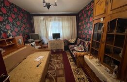 Camera de camin transformata in garsoniera, Valea Rosie