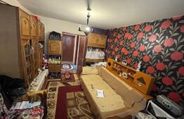 Camera de camin transformata in garsoniera, Valea Rosie