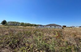 Teren intravilan, front 22 m, utilități trase pe parcelă, 448 mp, Preajba