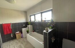 Casă individuala P+E de 235 mp, 480 mp teren, zona Damila