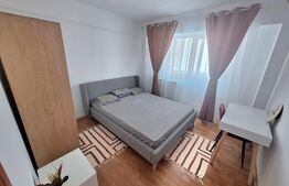 Apartament de 2 camere, decomandat, aer conditionat, zona Rovine