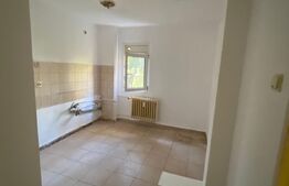 Apartament de 2 camere, etaj 2, Brazda lui Novac, zona Big Family