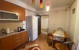 Garsoniera spatioasa, centrala termica, prima inchiriere, zona Calea Severinului