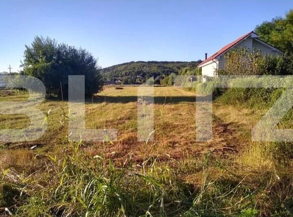 Teren de vânzare Leamna de Jos - 124741TV | BLITZ Craiova | Poza1