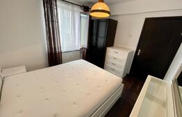 Apartament 2 camere Petfrendly, Aer conditionat, zona Maestro