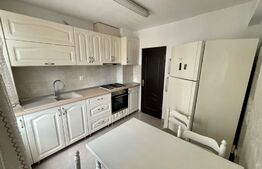 Apartament 2 camere Petfrendly, Aer conditionat, zona Maestro