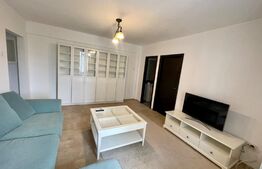 Apartament 2 camere Petfrendly, Aer conditionat, zona Maestro