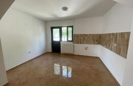 Casa plan parter , 2 dormitoare, 360 mp teren, Damila
